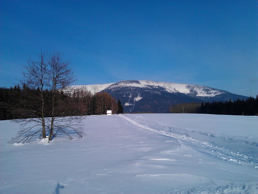 Horsky Pension Gendorf Černý Dŭl Esterno foto